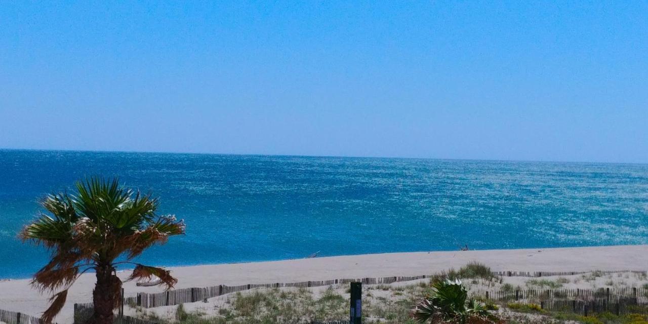 Vue Mer Panoramique Wifi Gratuit Le Barcares Bagian luar foto