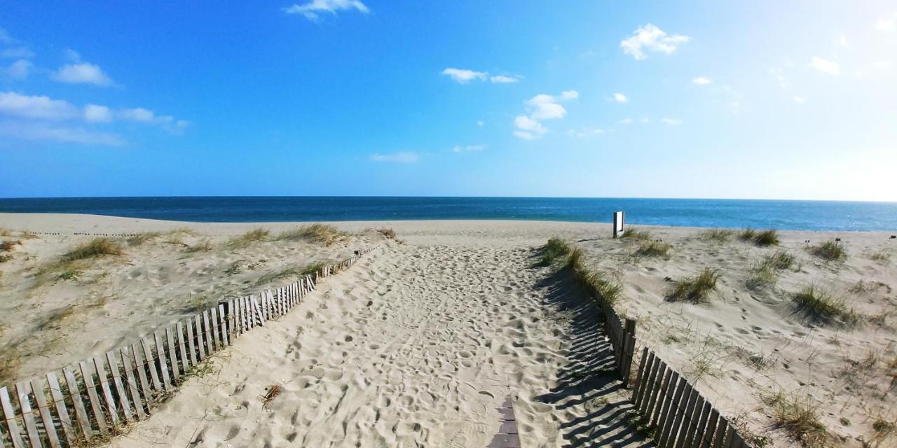Vue Mer Panoramique Wifi Gratuit Le Barcares Bagian luar foto