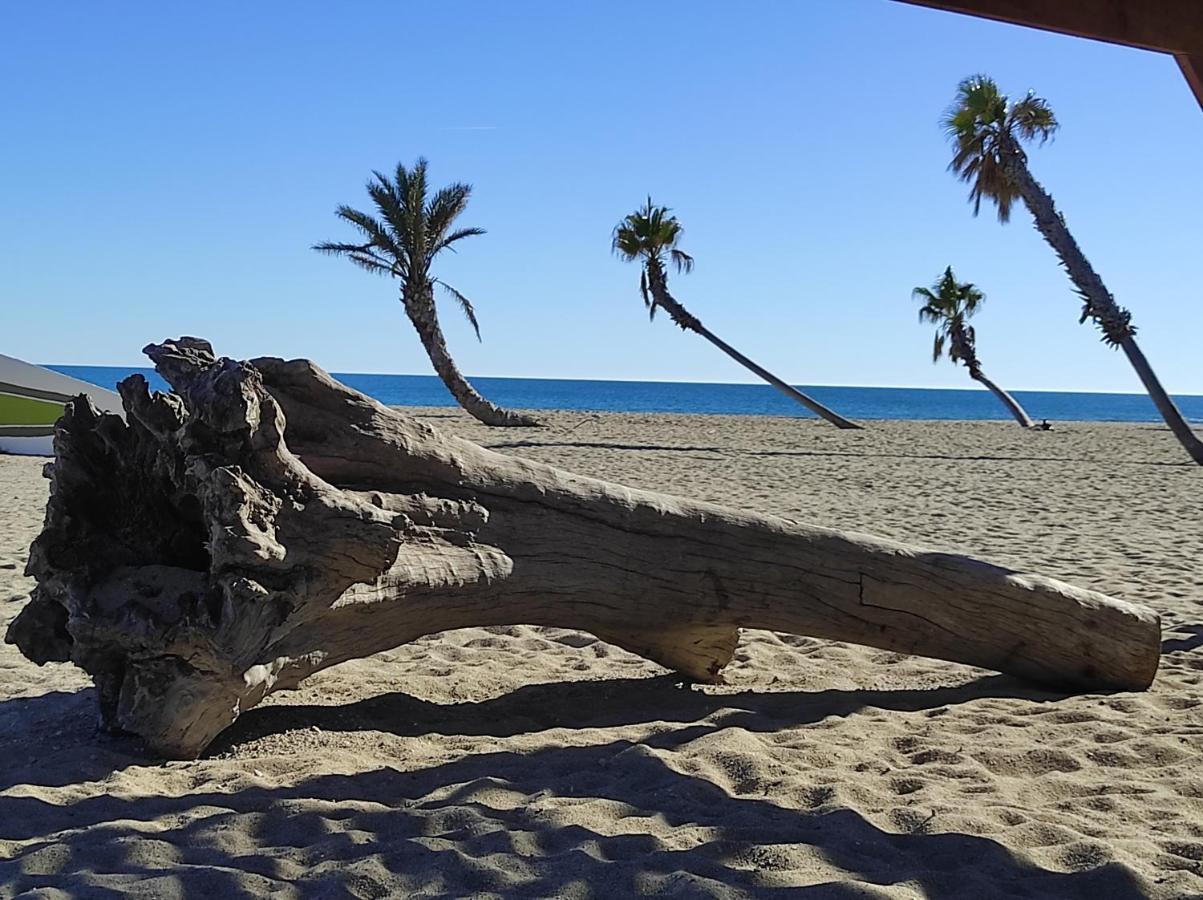 Vue Mer Panoramique Wifi Gratuit Le Barcares Bagian luar foto